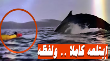 لقطة شاشة 2025 02 17 221207
