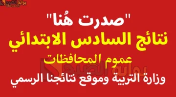 لينك نتائج التمهيدي السادس الابتدائي 2025 وزارة التربية وموقع نتائجنا لعموم المحافظات فور ظهورها