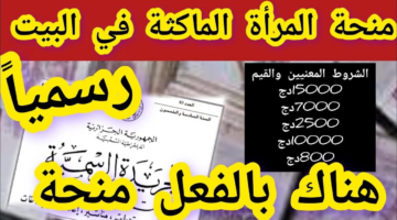 ما هي قيمة منحة المرأة الماكثة في البيت 2025؟