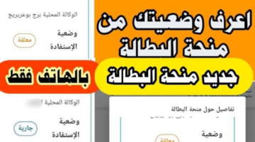 معنى وضعية معلقة في منحة البطالة 2025