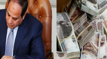 مم 1 1 800x600 1