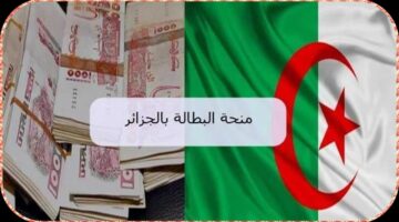 منحة البطالة في الجزائر2025 الأهمية والشروط وخطوات التسجيل