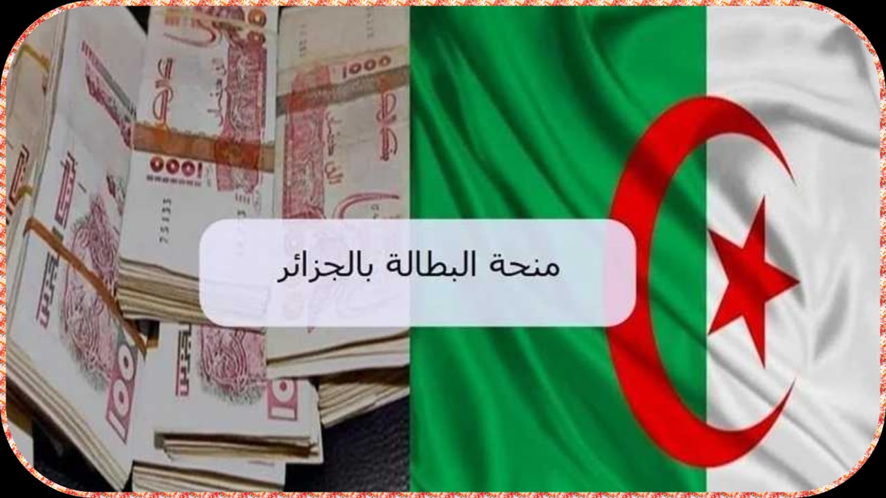 منحة البطالة في الجزائر خطوات تجديدها وأهم الشروط والملف المطلوب 2025