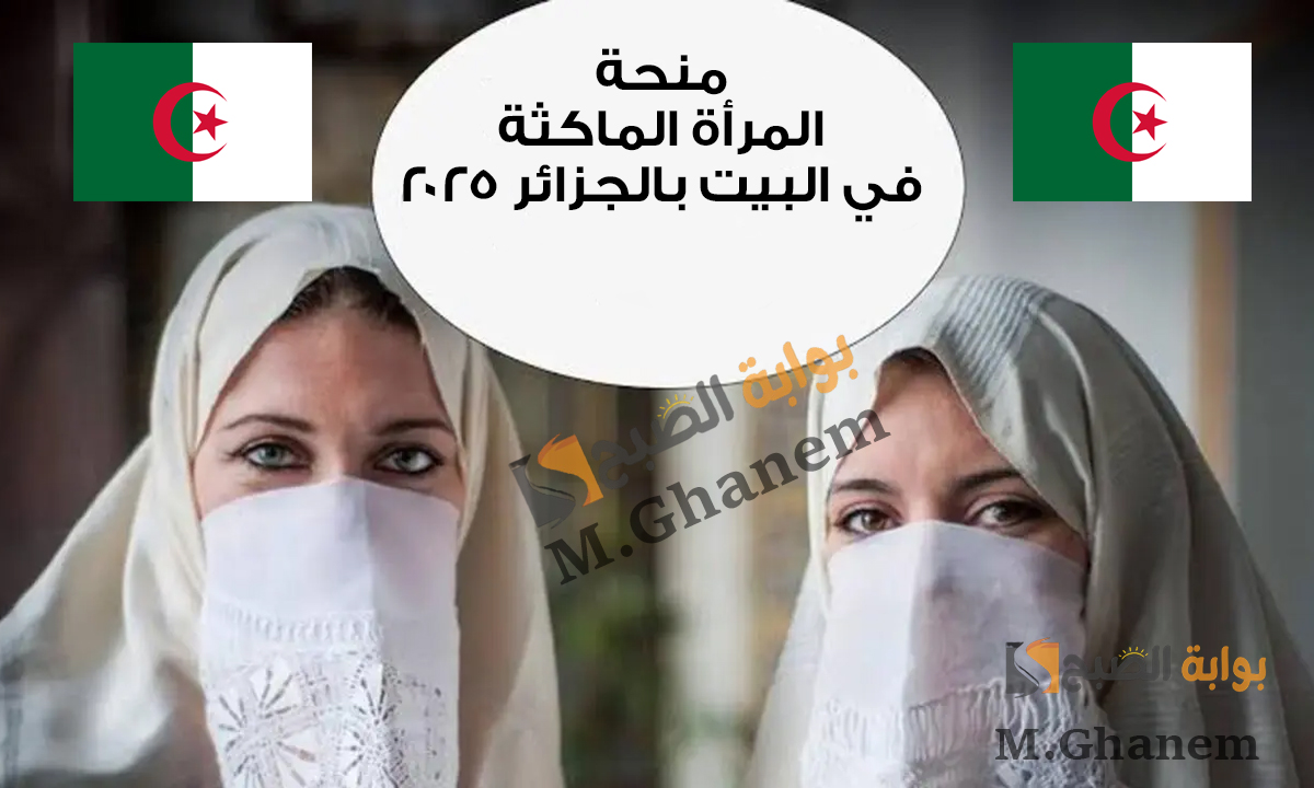 بالشروط والخطوات.. التسجيل في منحة المرأة الماكثة في البيت 2025 بالجزائر عبر الوكالة الوطنية للتشغيل