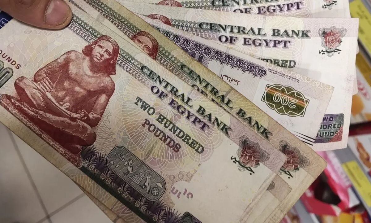 “بشرى سارة”.. طريقة التسجيل في منحة رمضان للعمالة غير المنتظمة للحصول على 1000 جنيه لكل فرد بالبطاقة