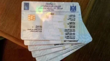 مواليد جدد