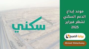 موعد إيداع الدعم السكني لشهر فبراير 2025