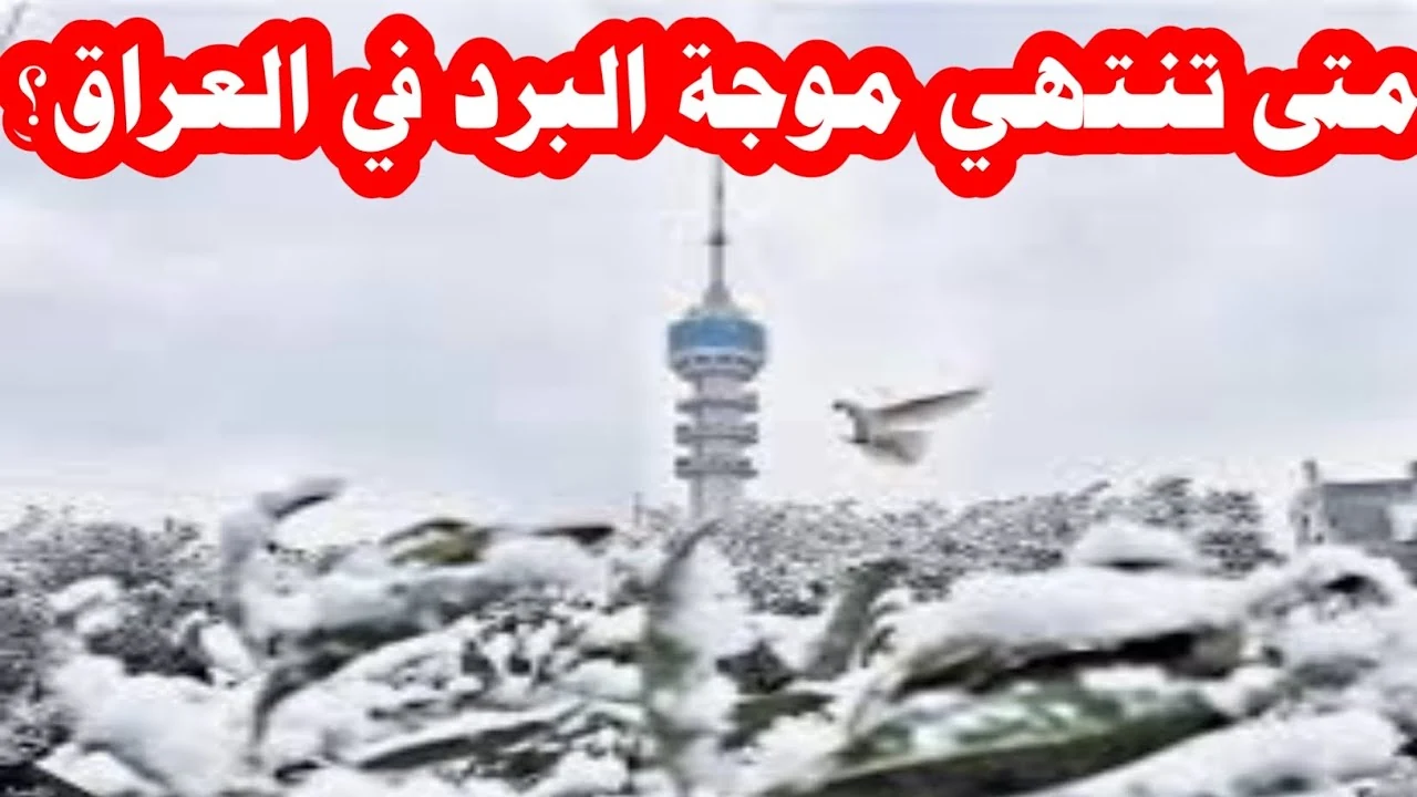 الأنواء الجوية تحدد موعد انتهاء موجة البرد على العراق وعودة استقرار درجات الحرارة.. أبشروا
