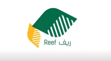 موعد دعم ريف e1738681964634