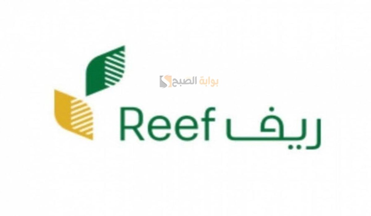 ريف السعودية يوضح متى موعد صدور نتائج الأهلية في ريف 2025 2 ريف السعودية يوضح متى موعد صدور نتائج الأهلية في ريف 2025