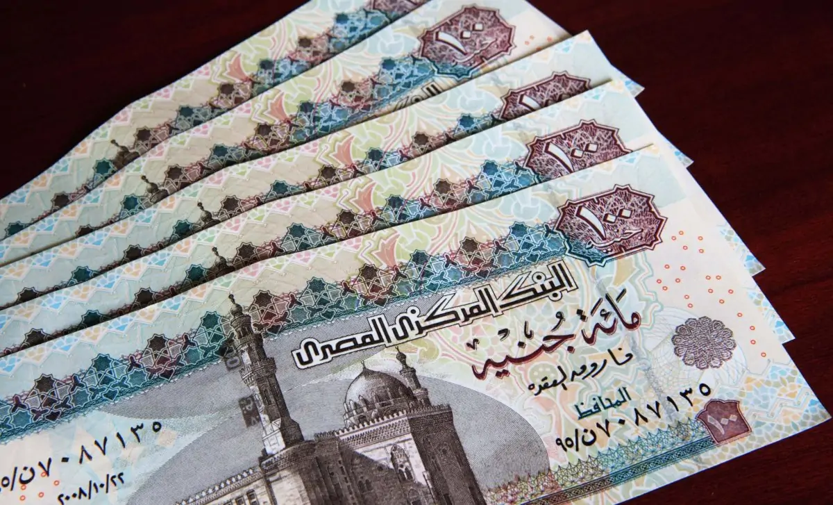متى موعد صرف منحة العمالة الغير منتظمة شهر فبراير 2025 ؟