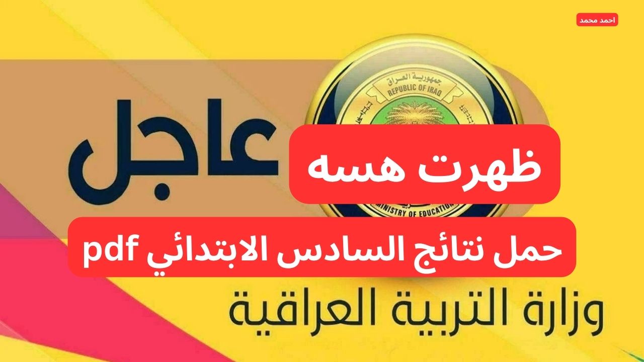 لينك مباشر.. نتائج التمهيدي 2025 سادس ابتدائي عبر موقع نتائجنا nataegna.net