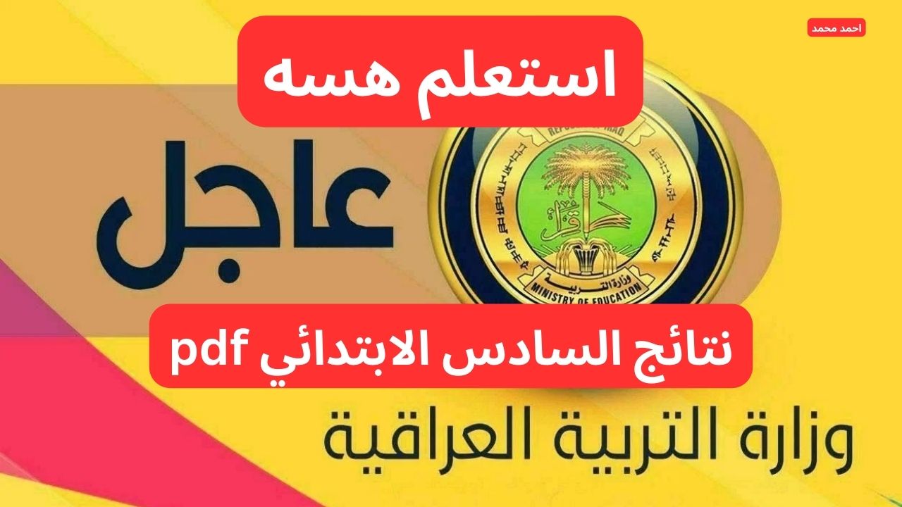 استعلم هسه.. نتائج التمهيدي السادس الابتدائي 2025 عبر موقع نتائجنا والوزارة