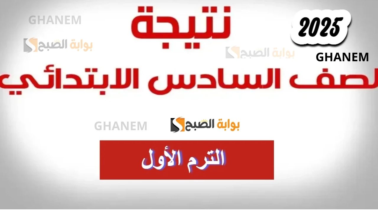 هسة ظهرت.. نتائج السادس الابتدائي 2025 التمهيدي بالرقم الامتحاني بعض محافظات العراق نينوي والكرخ وديالي والرصافة
