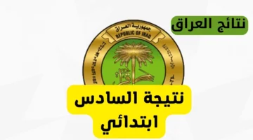 نتائج السادس الابتدائي التمهيدي 2025