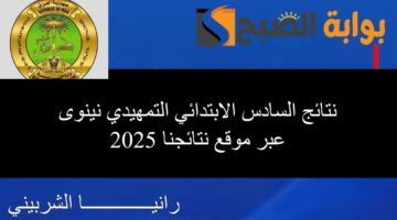 نتائج السادس الابتدائي التمهيدي نينوى11