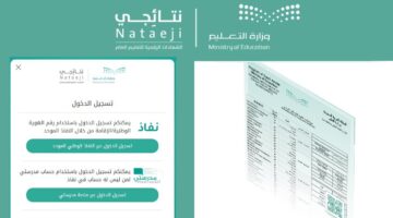نتائجي نور