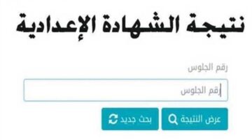 نتي1 1