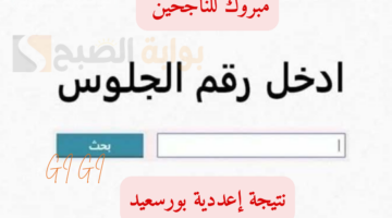 نتيجة اعدادية بورسعيد