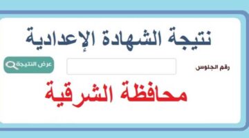 نتيجة الشهادة الإعدادية 2025 محافظة الشرقية 1 1