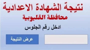 نتيجة الصف الثالث الإعدادي 2025 بالقليوبية