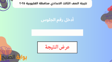 نتيجة الصف الثالث الاعدادي محافظة القليوبية ٢٠٢٥ 1