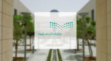 نهاية الدراسه هذا العام