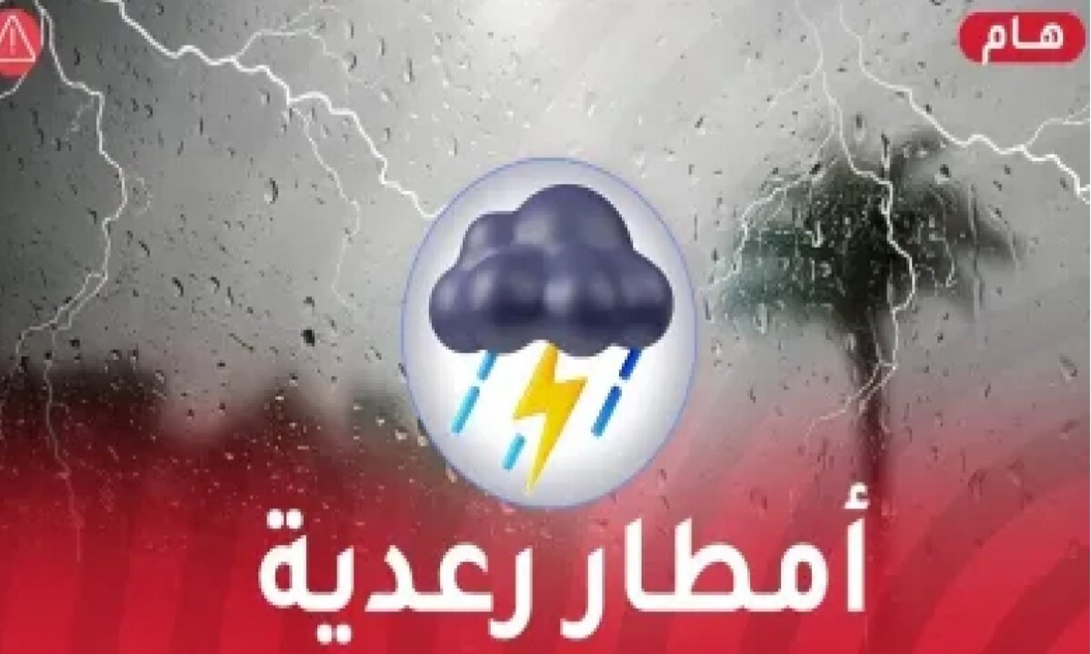 الحكومة الجزائرية تعلن تصريح هام لجميع المواطنين الان
