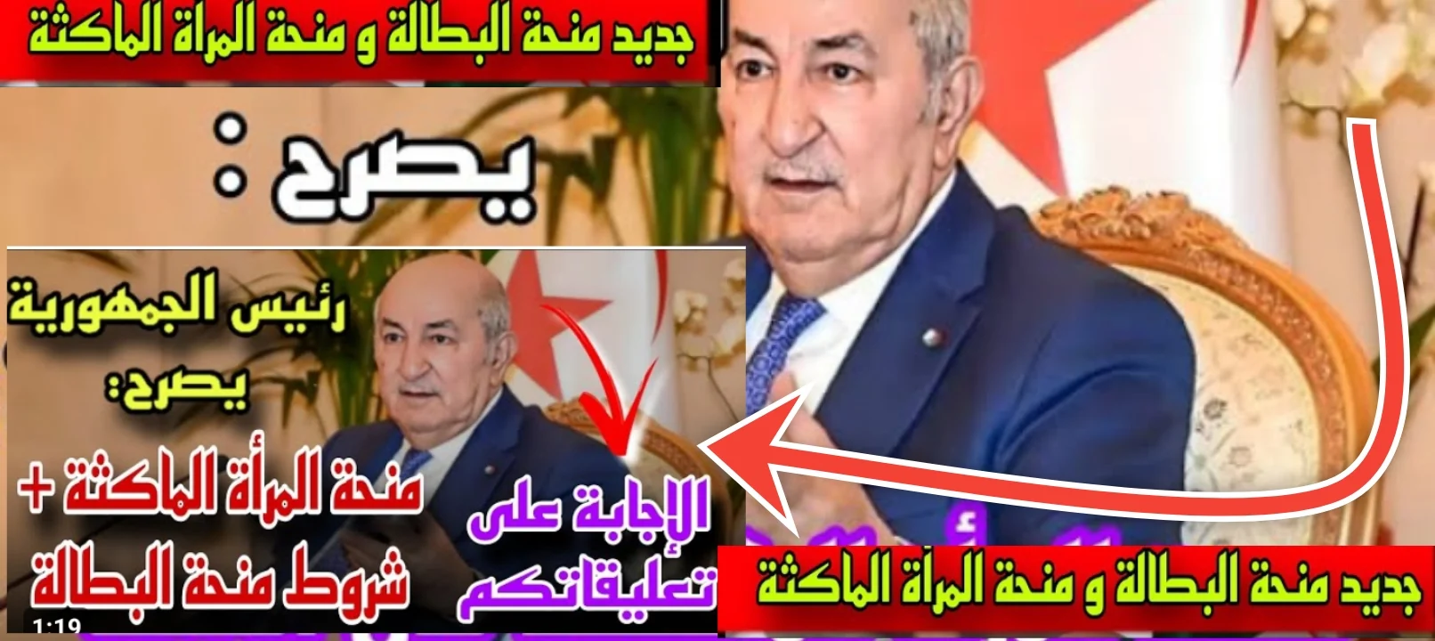 هل صحيح المرأة الماكثة في البيت تستفيد من منحة البطالة؟.. الوكالة الوطنية للتشغيل تُجيب
