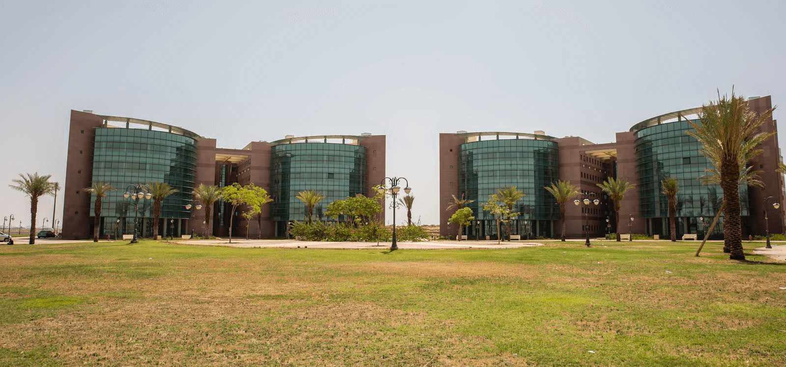 شروط ورابط التقديم.. جميع التفاصيل الخاصة بـ وظائف جامعة تبوك 2025