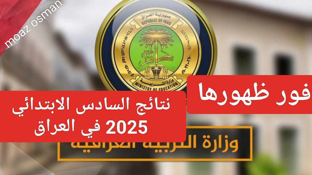 “فور ظهورها” نتائج السادس 2025 في العراق تربية الكرخ الثانية.. حملها PDF عبر نتائجنا