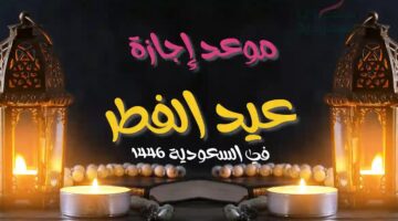 06 03 25 220644944