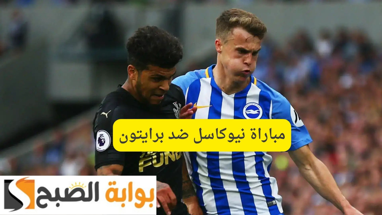 Newcastle VS Brighton.. موعد مباراة نيوكاسل ضد برايتون كأس الاتحاد الانجليزي| القنوات الناقلة