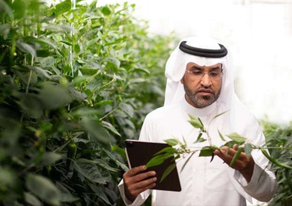 سعر سهم سابك للمغذيات| بعد مكاسب ختام الأسبوع الماضي تراجع بالقيمة السوقية اليوم الأحد 9-3-2025