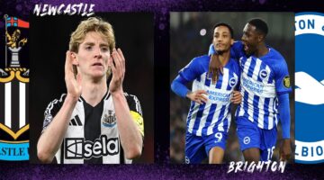 Newcastle vs Brighton.. نيوكاسل يونايتد ضد برايتون في الدور 5 من كأس الاتحاد الإنجليزي