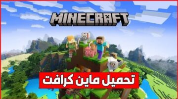 IMG 20250304 WA0002