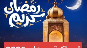 IMG ٢٠٢٥٠٣٠١ ٠٠٢٩٠٠