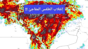 IMG ٢٠٢٥٠٣٠٣ ٢٢٥٤٥٥