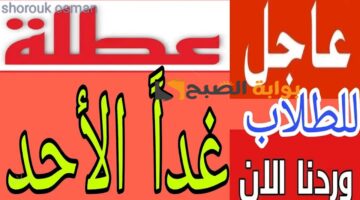IMG ٢٠٢٥٠٣٠٨ ٢٣٢٦١٤