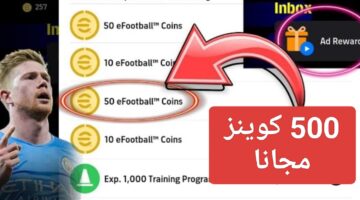 IMG ٢٠٢٥٠٣١١ ٢١١٦٥٢