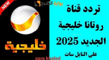 IMG ٢٠٢٥٠٣١٢ ١٣٣١٢٥