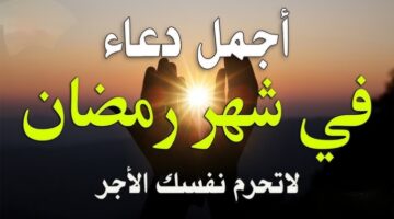 IMG ٢٠٢٥٠٣١٢ ١٥٠٣٤٨