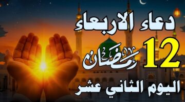 IMG ٢٠٢٥٠٣١٢ ١٦١٦٢٧