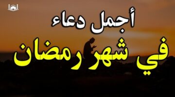 IMG ٢٠٢٥٠٣١٣ ١١٣٤١٤