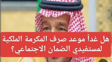 IMG ٢٠٢٥٠٣١٥ ١٩٣٧٥٠