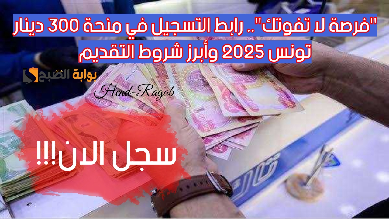 “فرصة لا تفوتك”.. رابط التسجيل في منحة 300 دينار تونس 2025 وأبرز شروط التقديم.. الحكومة توضح