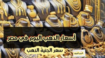 img 1741896309508 1