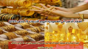 img 1742361981845