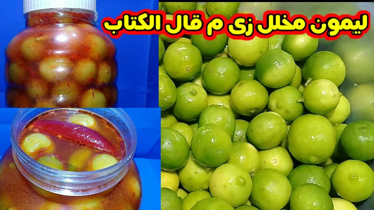زي محلات الطرشي.. تخليل الليمون الأخضر والفلفل وبدون ما يمرر منك هيفضل طازه احلي من الجاهز 2 زي محلات الطرشي.. تخليل الليمون الأخضر والفلفل وبدون ما يمرر منك هيفضل طازه احلي من الجاهز