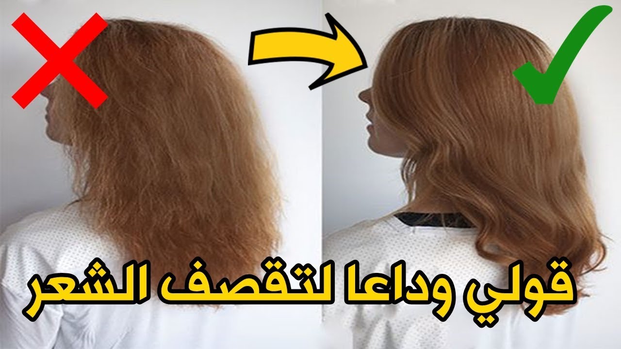 تمتعي بشعر ناعم كالحرير مع ماسك البيض الفعال للتخلص من التقصف في المنزل 6 تمتعي بشعر ناعم كالحرير مع ماسك البيض الفعال للتخلص من التقصف في المنزل